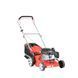 Газонокосарка бензинова Faworyt SH41P123L Faworyt SH41P123L фото 1